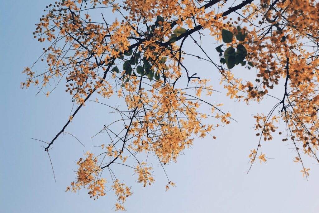 Aantal seizoenen van Gooische Vrouwen en het blijvende succes