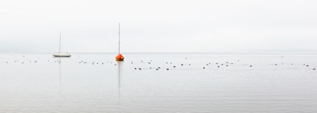 De mooiste kleurencombinaties met zwart in jouw interieur